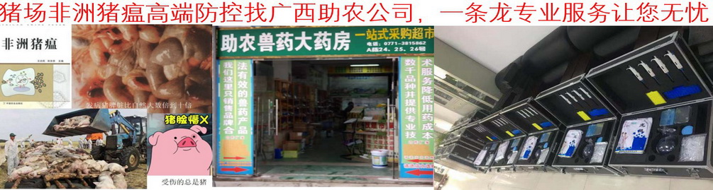 豬場(chǎng)非洲豬瘟高端防控找廣西助農(nóng)公司，一條龍專業(yè)服務(wù)讓您無憂