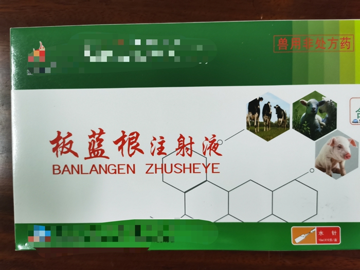 板藍根注射液--主治家畜流感，仔豬白痢，肺炎等發熱性疾病