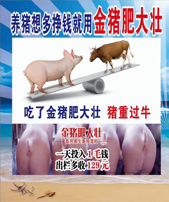 養(yǎng)豬想多掙錢就用金豬肥大壯--1天投入1毛錢，提前出欄13天，多長20斤，就是牛