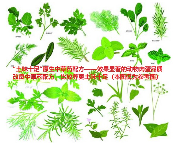“土味十足”原生中草藥配方——效果顯著的動(dòng)物肉蛋品質(zhì)改良中草藥配方，比放養(yǎng)更土味十足