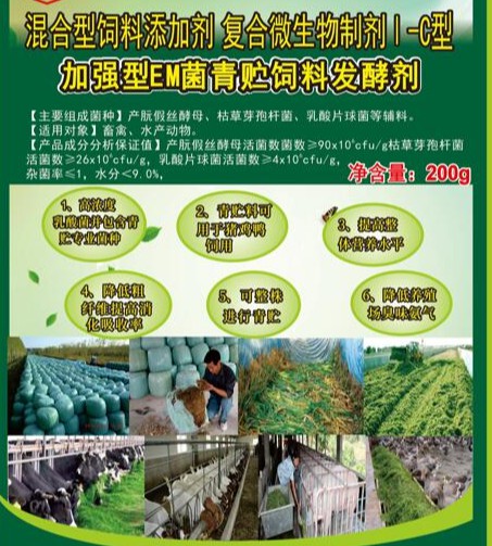 加強(qiáng)型EM菌青貯飼料專用發(fā)酵劑，真正的專業(yè)菌種更好的青貯飼料發(fā)酵劑，發(fā)酵成功率高速度快，香醇可口，牛羊喜吃，連豬雞都搶吃