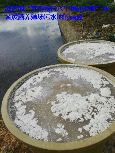養(yǎng)殖場污水處理步驟6.png