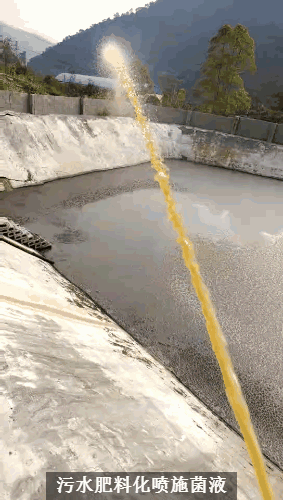 畜禽流體糞污快速發(fā)酵劑激活處理污水邊液態(tài)有機肥現(xiàn)場3.gif