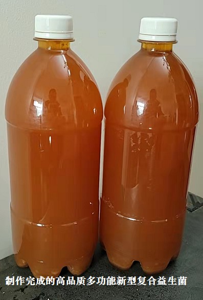 制作完成的高品質(zhì)多功能新型復合益生菌3.jpg