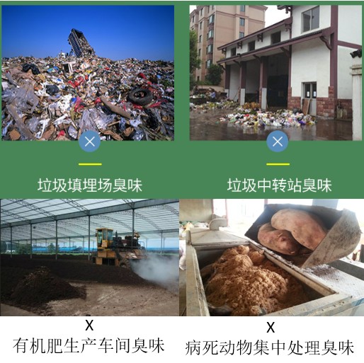 垃圾場、有機肥、病死動物處理臭味.jpg