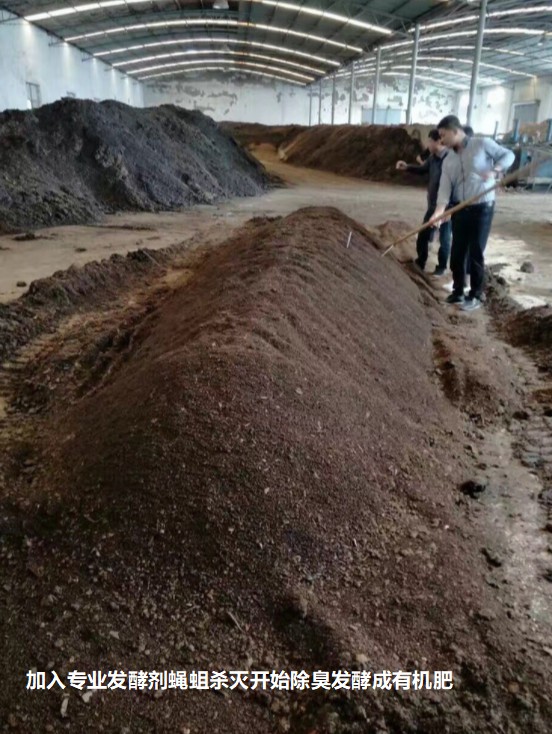 加入專業(yè)發(fā)酵劑蠅蛆殺滅開始除臭發(fā)酵成有機肥.jpg
