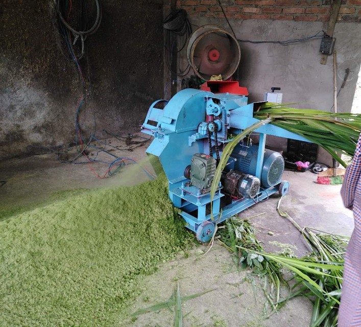 牧草粉碎機(jī)加工現(xiàn)場.jpg