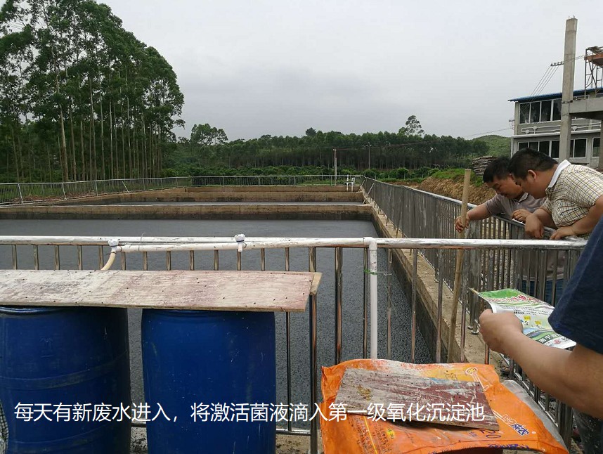 每天有新廢水進入，將激活菌液滴入第一級氧化沉淀池.jpg