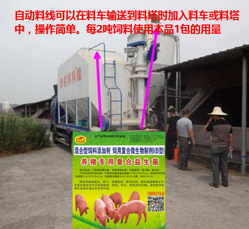 養(yǎng)豬專(zhuān)用復(fù)合益生菌添加到自動(dòng)料線(xiàn)中.png