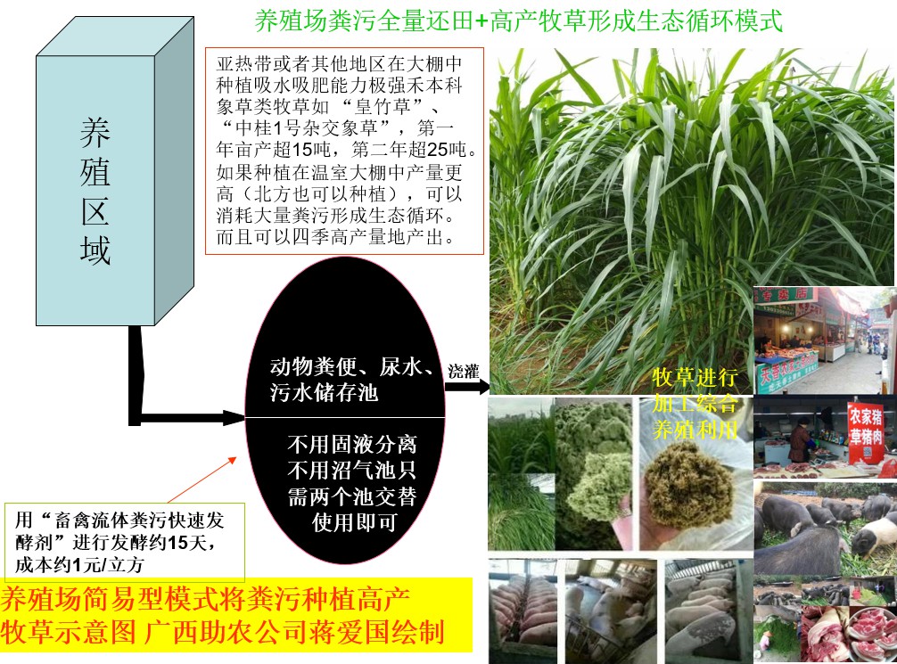 養殖場糞污全量還田+高產牧草形成生態循環模式.jpg