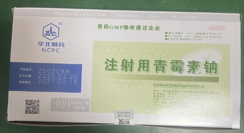 微信截圖_20250625091543.jpg